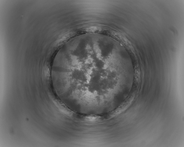 X0000111200375200907011438