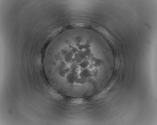 X0000111200377200907011438