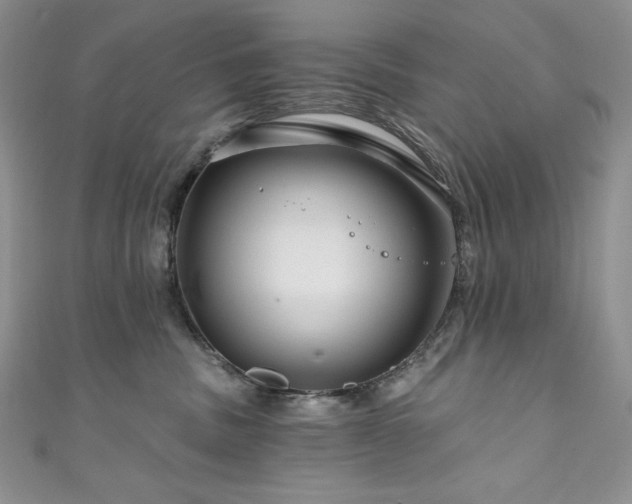 X0000111200379200907011438