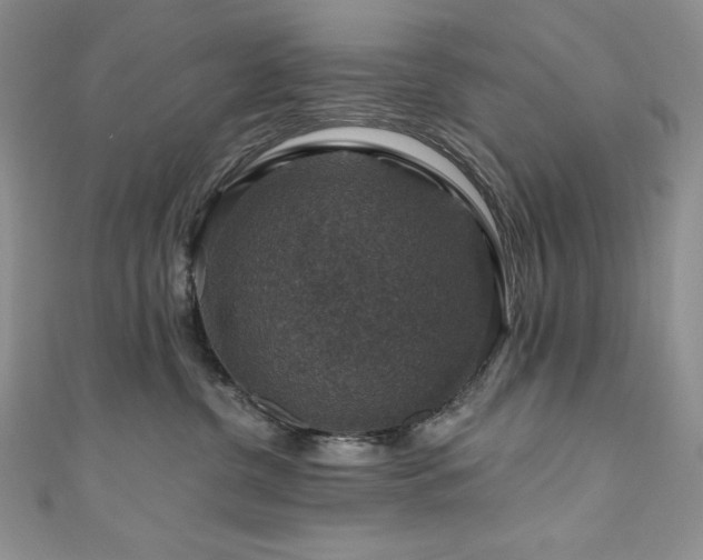 X0000111200380200907011438