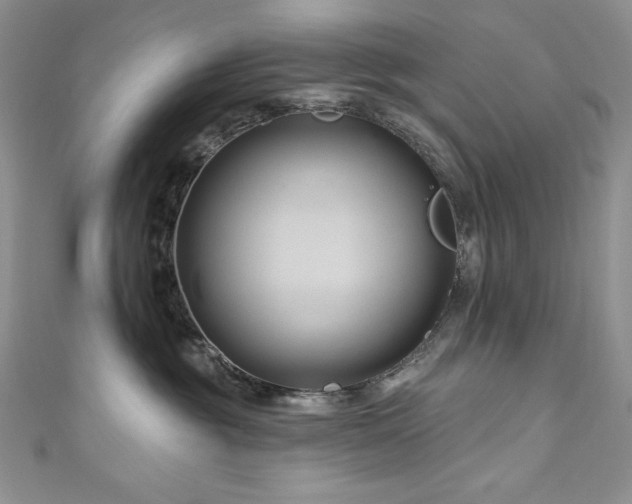 X0000111200381200907011438