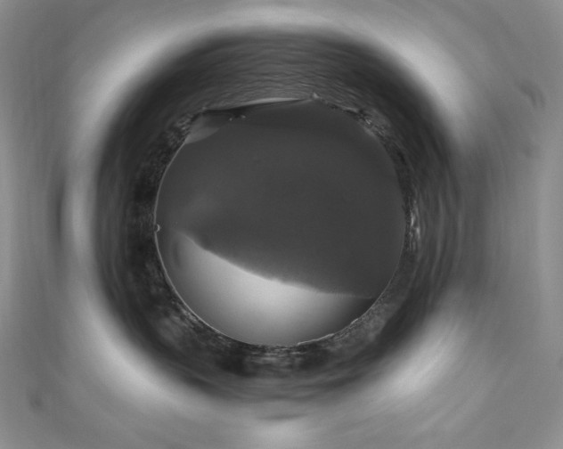 X0000111200383200907011438