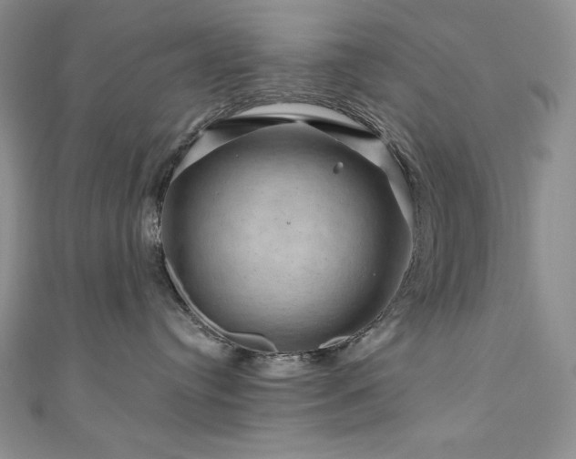 X0000111200384200907011438