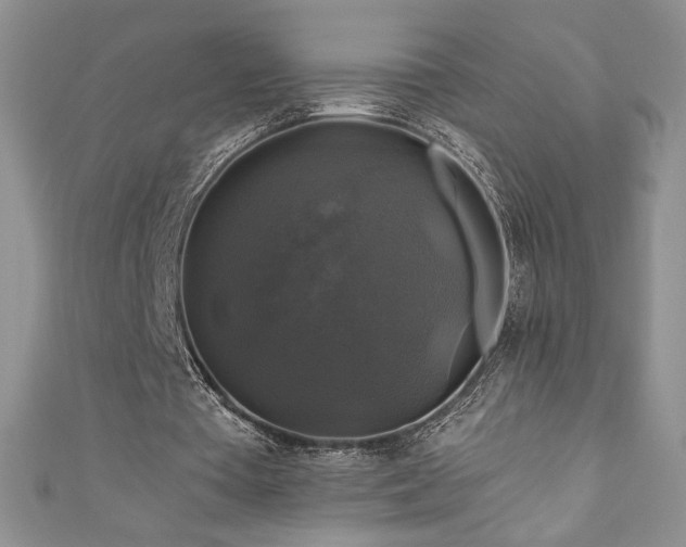 X0000111200385200907011438