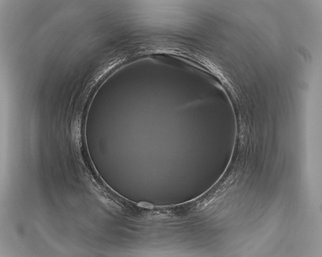 X0000111200386200907011438