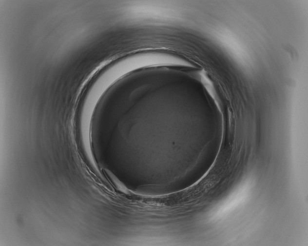 X0000111200387200907011438