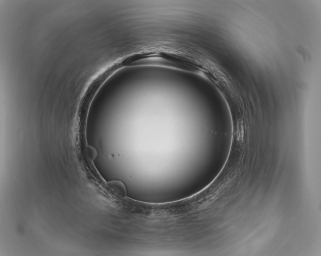 X0000111200388200907011438