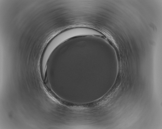 X0000111200389200907011438