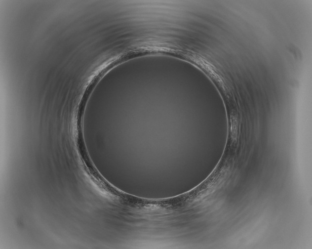 X0000111200390200907011438