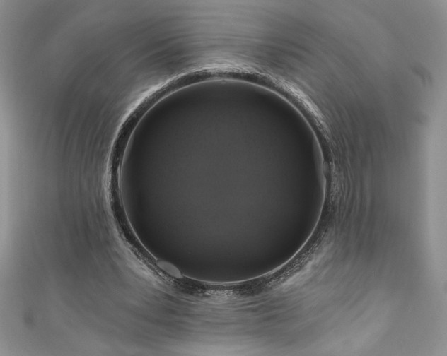 X0000111200391200907011438