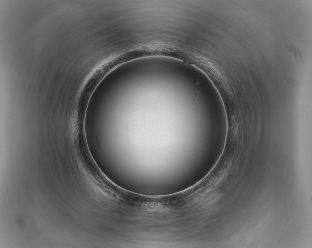 X0000111200392200907011438