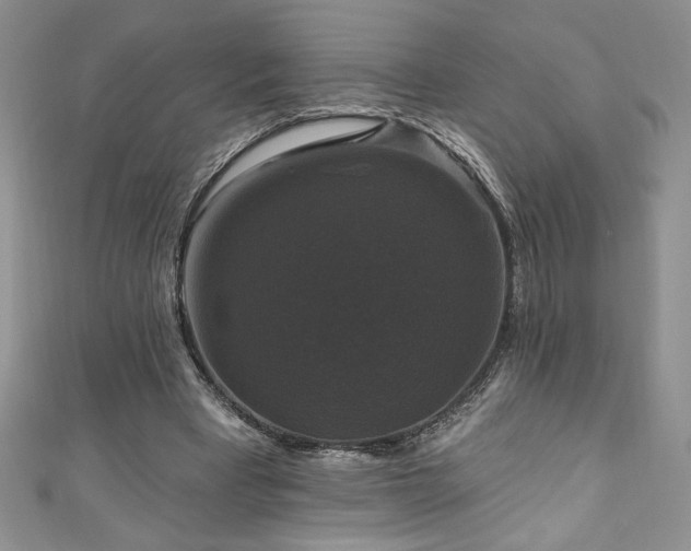 X0000111200393200907011438