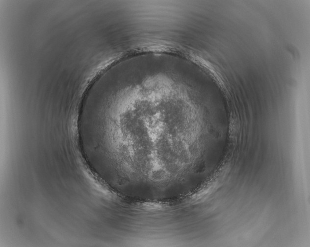 X0000111200394200907011438