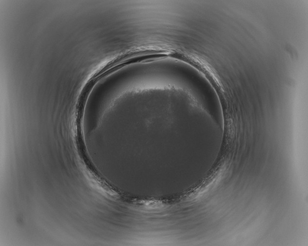 X0000111200395200907011438