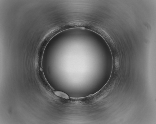 X0000111200396200907011438