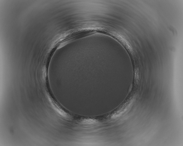 X0000111200397200907011438