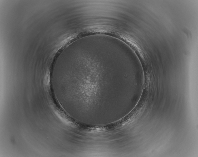 X0000111200398200907011438