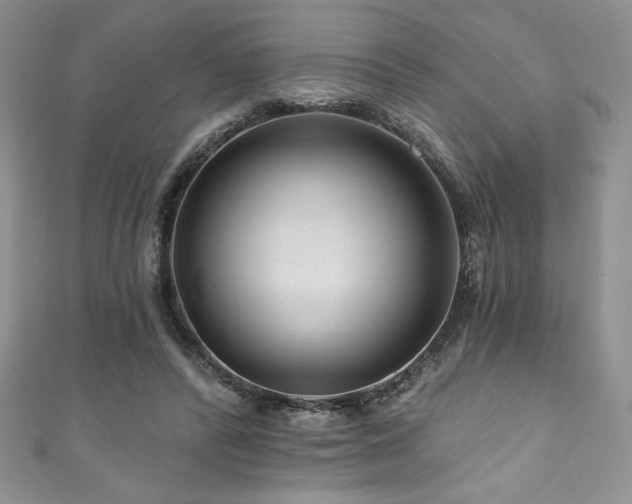 X0000111200400200907011437