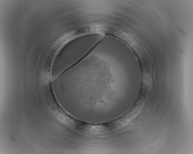 X0000111200401200907011437