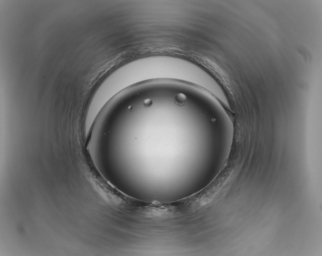 X0000111200405200907011437