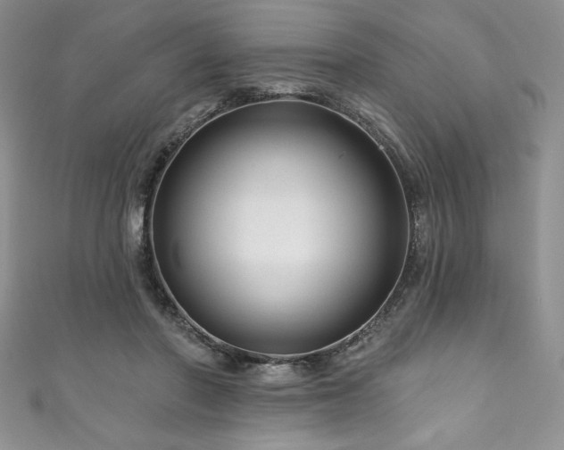 X0000111200406200907011437