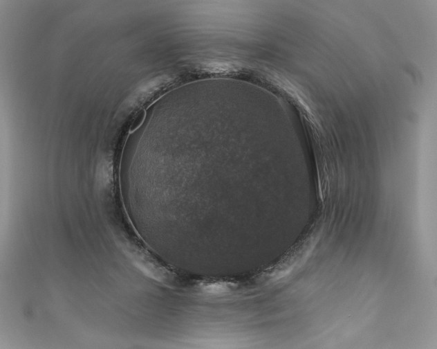 X0000111200407200907011437