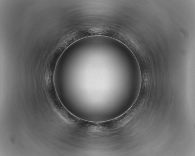 X0000111200408200907011437