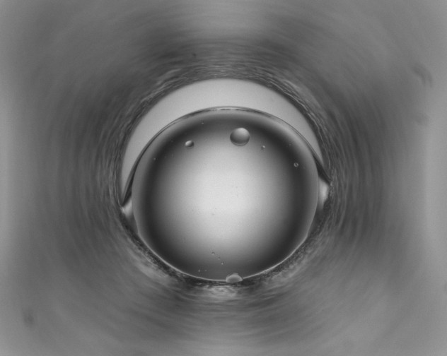 X0000111200409200907011437