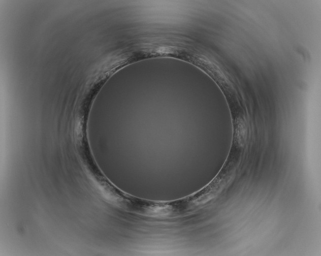 X0000111200410200907011437