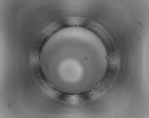 X0000111200411200907011437