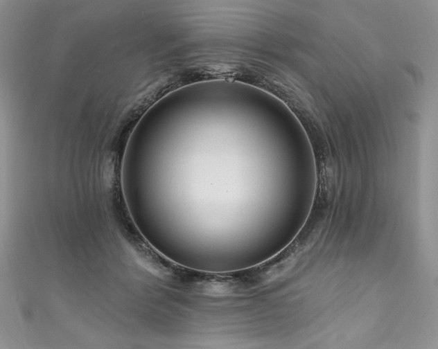 X0000111200412200907011437