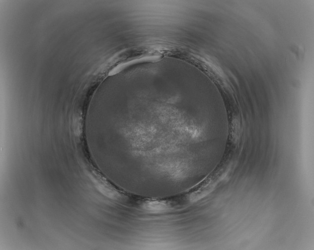 X0000111200413200907011437