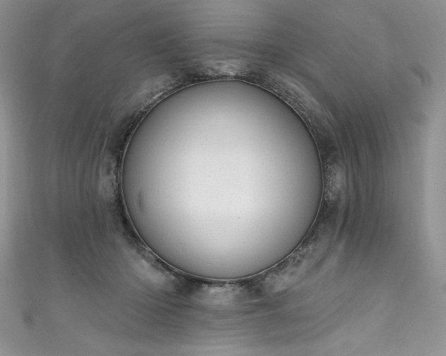 X0000111200414200907011437