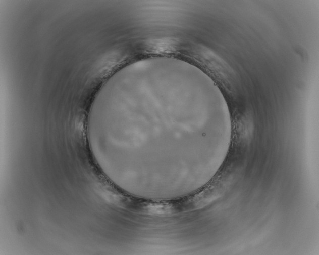 X0000111200415200907011437