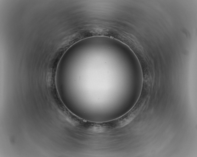 X0000111200416200907011437