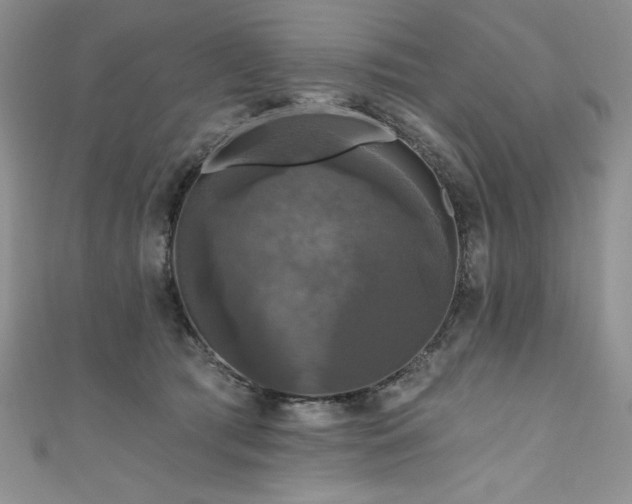 X0000111200417200907011437