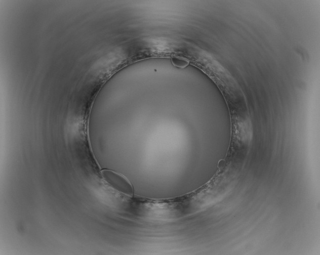 X0000111200419200907011437