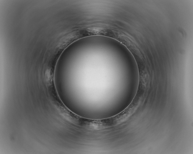 X0000111200420200907011437