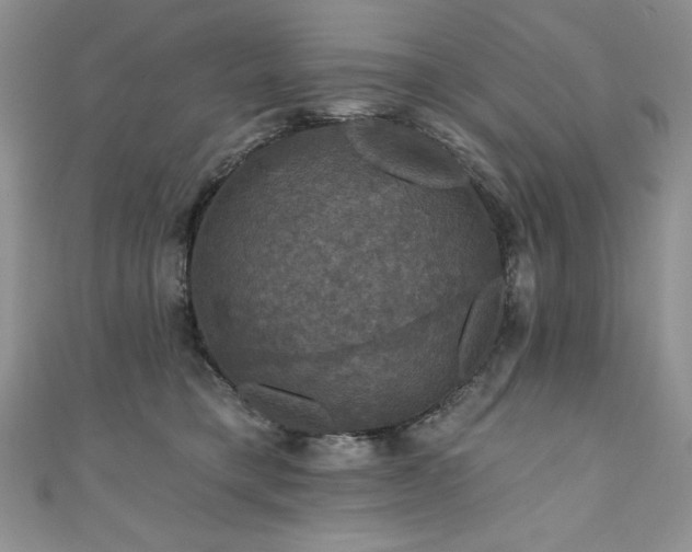 X0000111200421200907011437