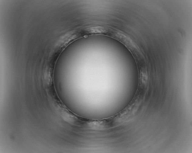 X0000111200422200907011437