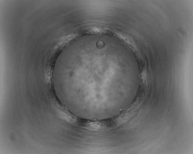 X0000111200423200907011437