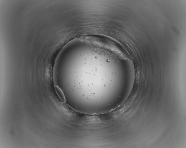 X0000111200424200907011437