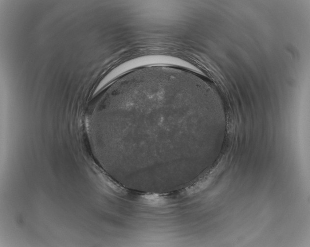 X0000111200425200907011437