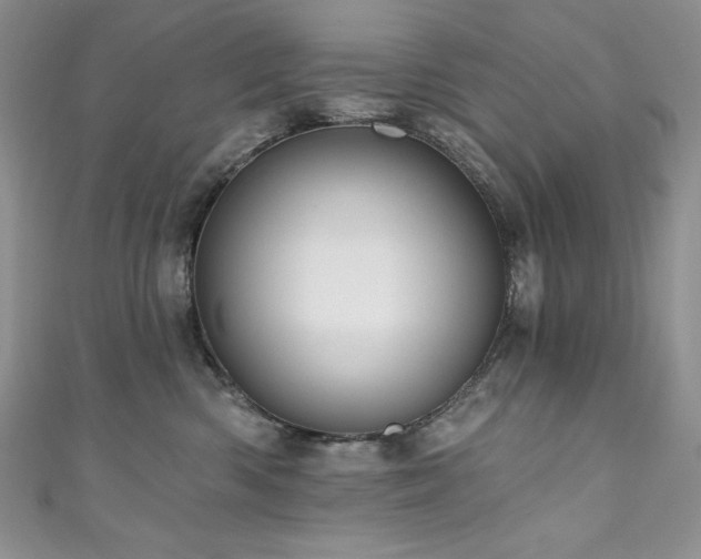 X0000111200426200907011437