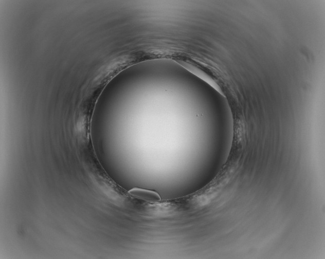 X0000111200428200907011437