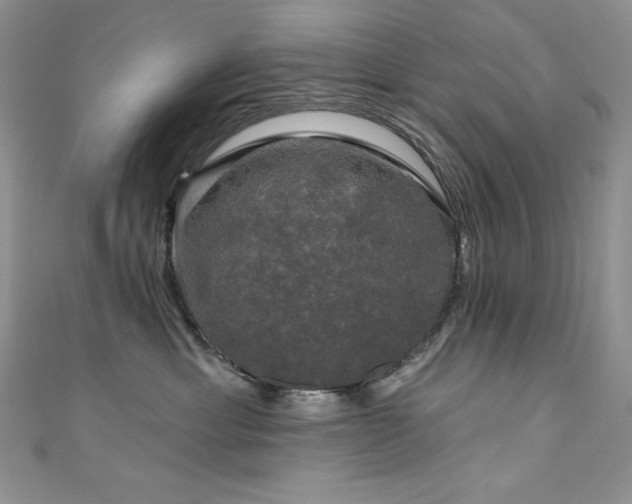 X0000111200429200907011437