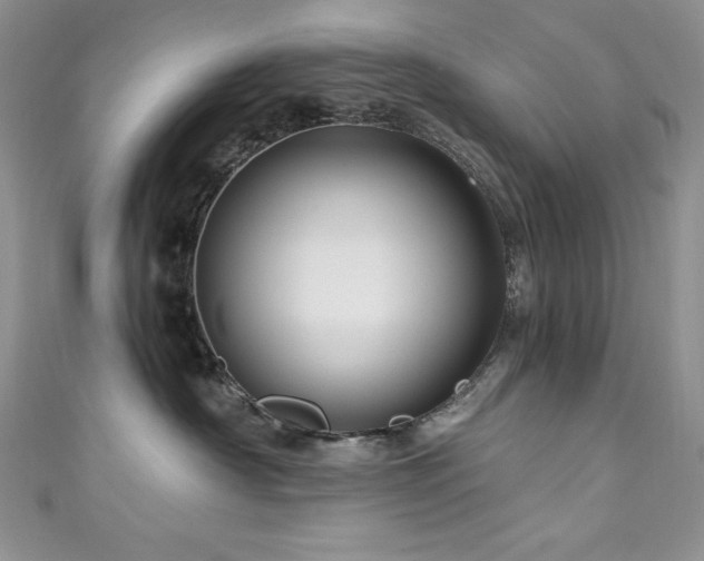 X0000111200430200907011437