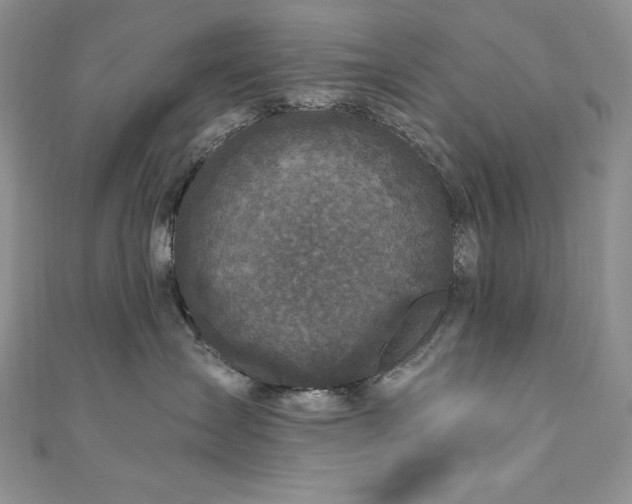 X0000111200431200907011437