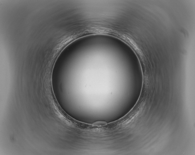 X0000111200433200907011436