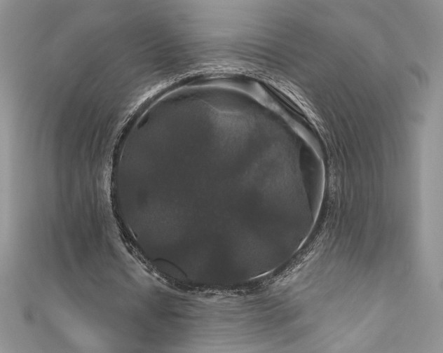 X0000111200434200907011436